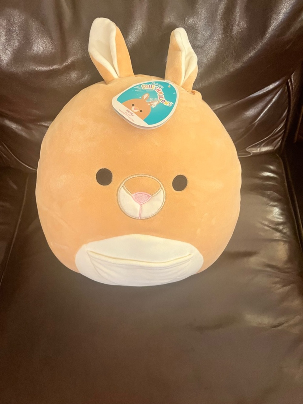 NWT Keely Kangaroo Squish mallow 12’ Tan Plush